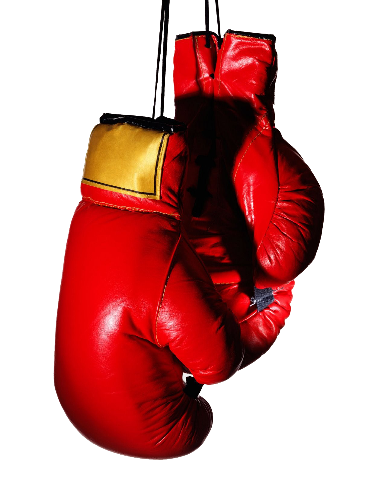 sportlemon boxing